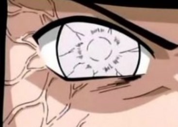 �i���g ����